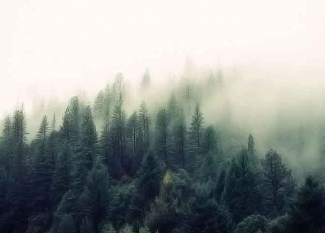 网站攻击手段